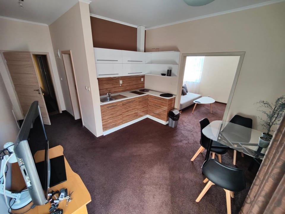 Brasna2 - thermal  Apartment in Slovakia
