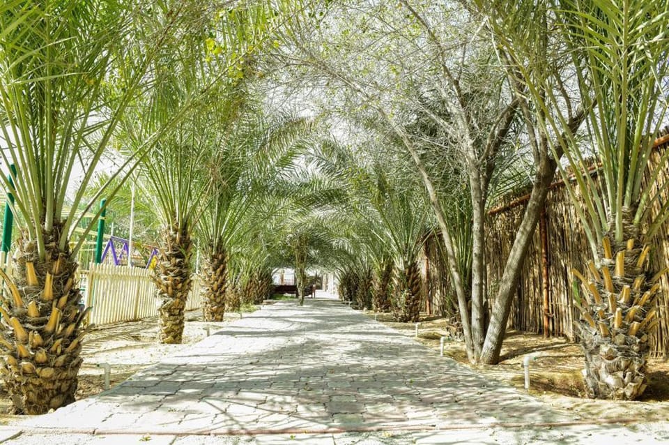 FARMHOUSE WITH POOL AND BACKYARD Vacation rental in Sharjah