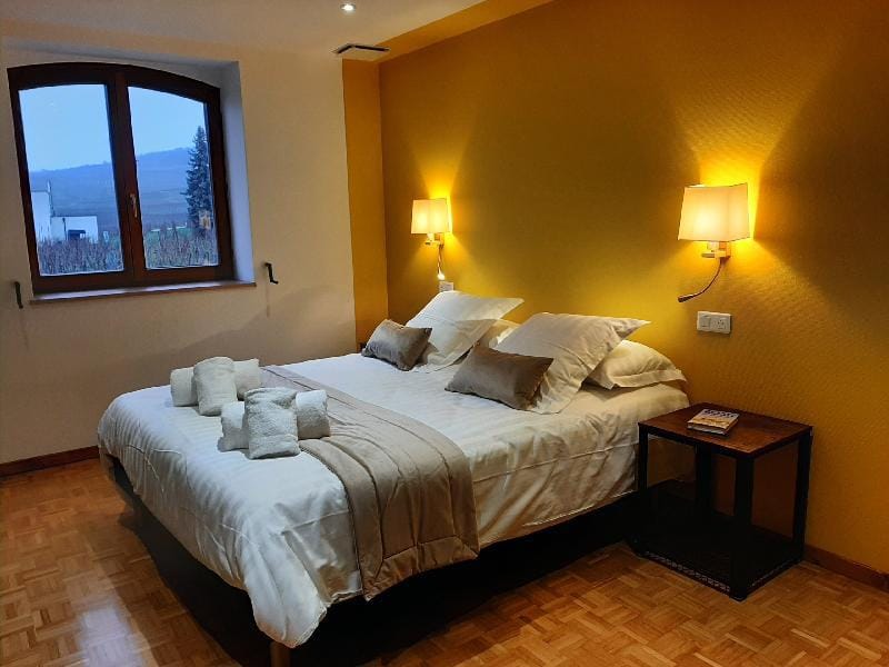 L'Orée des Vignes Vacation rental in Grand Est