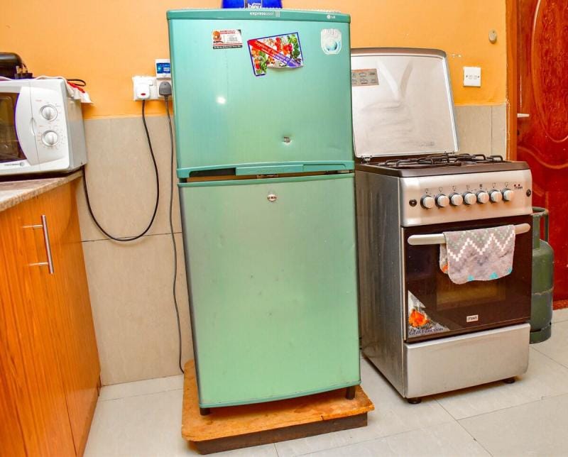 Apex  3 bedroom furnished ensuite shared apartment Apartment in Nairobi