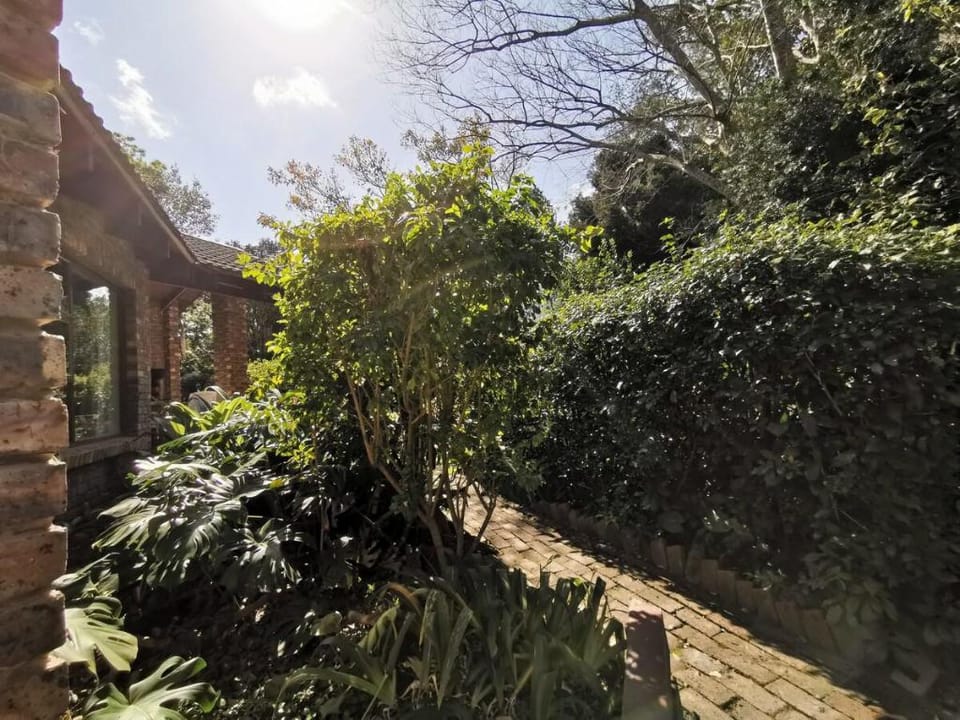 Forest Nest Cottage Vacation rental in Eastern Cape