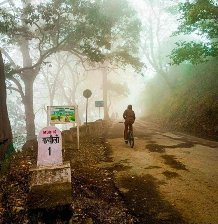 HIMALAYANVIEW KASAULI Apartment in Himachal Pradesh