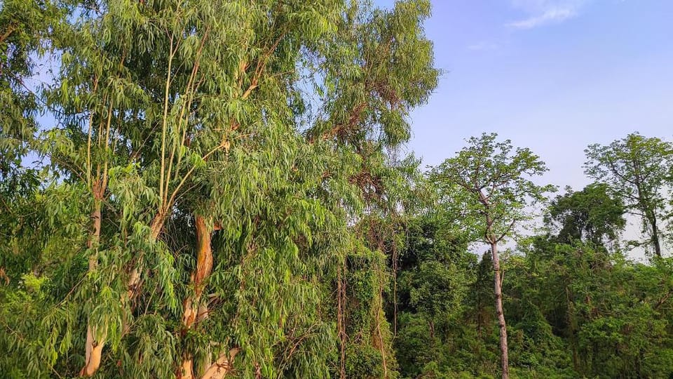 Three bedroom house Vacation rental in Rishikesh