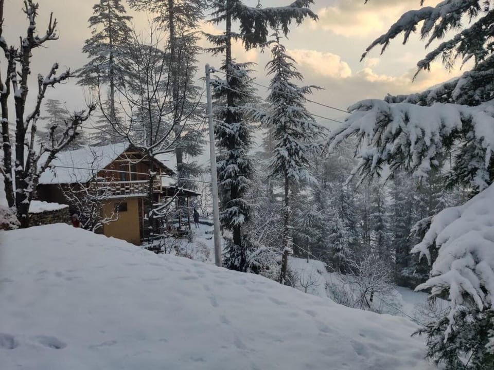Off the Trail Cabins | entire space Vacation rental in Himachal Pradesh