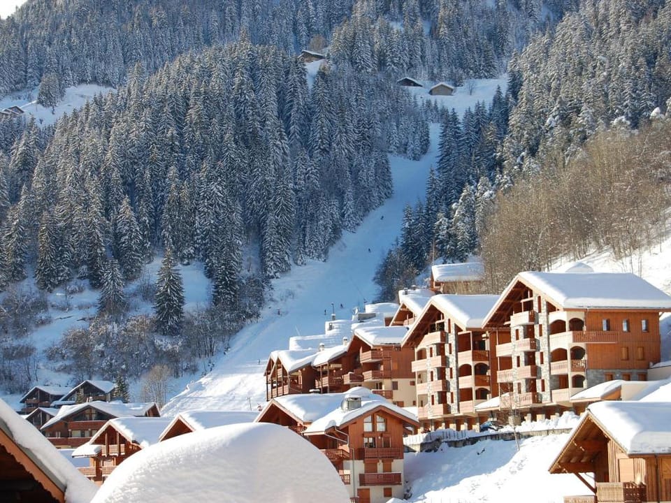 Magnificent chalet with balcony Vacation rental in Champagny-en-Vanoise