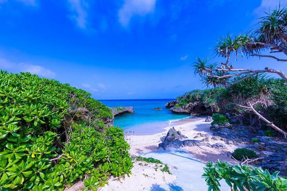 MK.10mins walk to Manzamo beach.Nearby Blue cave. Apartment in Okinawa Prefecture