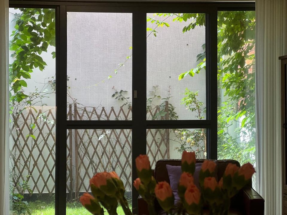 J-66独栋花园别墅 Villa in China
