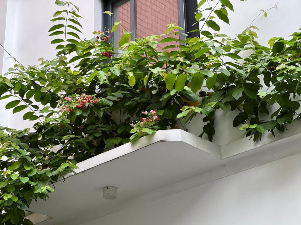 J-66独栋花园别墅 Villa in China