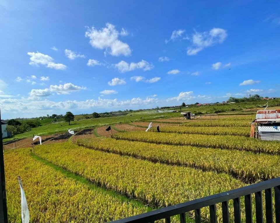 Virgo K Apartments Canggu Apartment in North Kuta