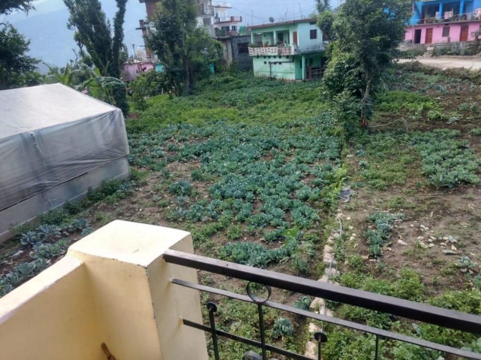 Homestay Narayankoti  Vacation rental in Uttarakhand