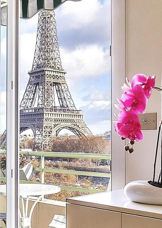 B 1618 - Eiffel Tower breathtaking view Apartment in Paris