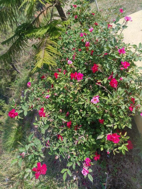 DWARIKA HOTEL Vacation rental in Uttarakhand