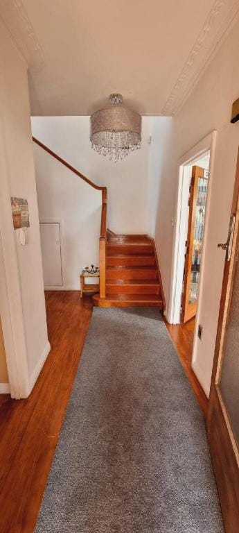 Jasmine's getaway  Vacation rental in Auckland