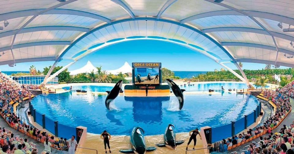 Golden Paradise Heated Pool at Albatros Park Apartment in Abona