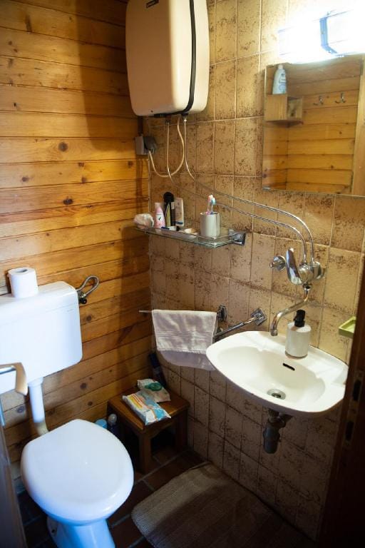 Koča pri Binci Vacation rental in Slovenia