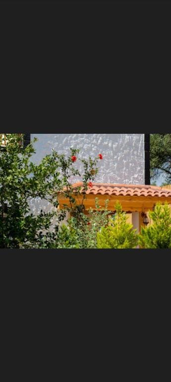 Villa Larmina Antalya  Kaş'ta  Muhteşem  Manzaralı Villa in Antalya Province