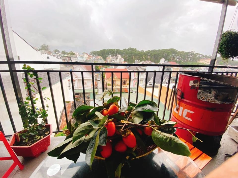 Ot House Vacation rental in Dalat