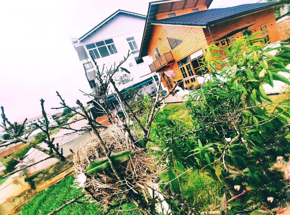 nhà gỗ đà lạt  Vacation rental in Dalat