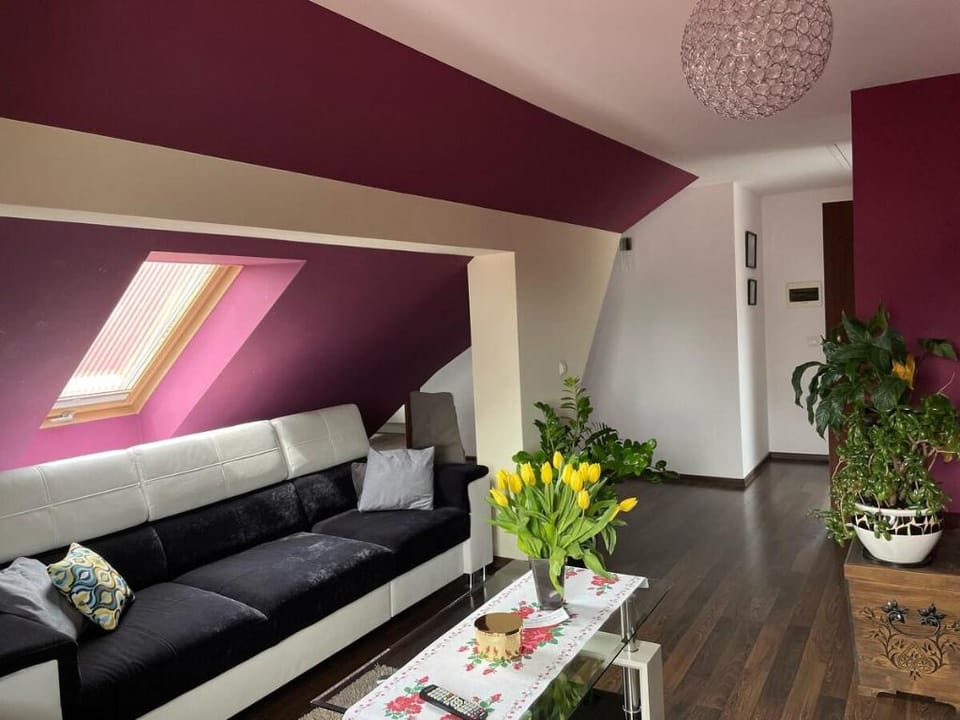 Apartament Podczerwone Apartment in Lesser Poland Voivodeship