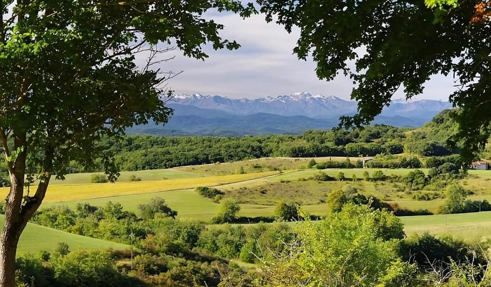 Gites et Roulottes au Domaine de la Trille Farm Stay in Occitanie