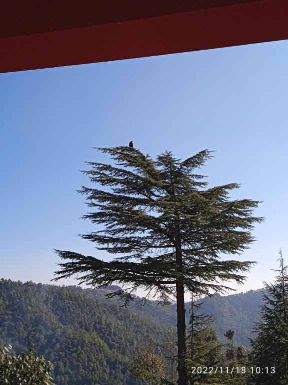 Zannat homestay  Vacation rental in Uttarakhand