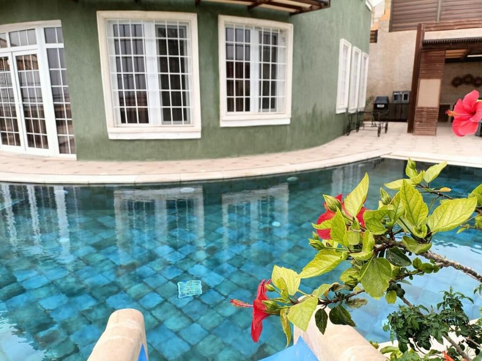 Green Villa Dead Sea Infinity Pool Villa in Africa