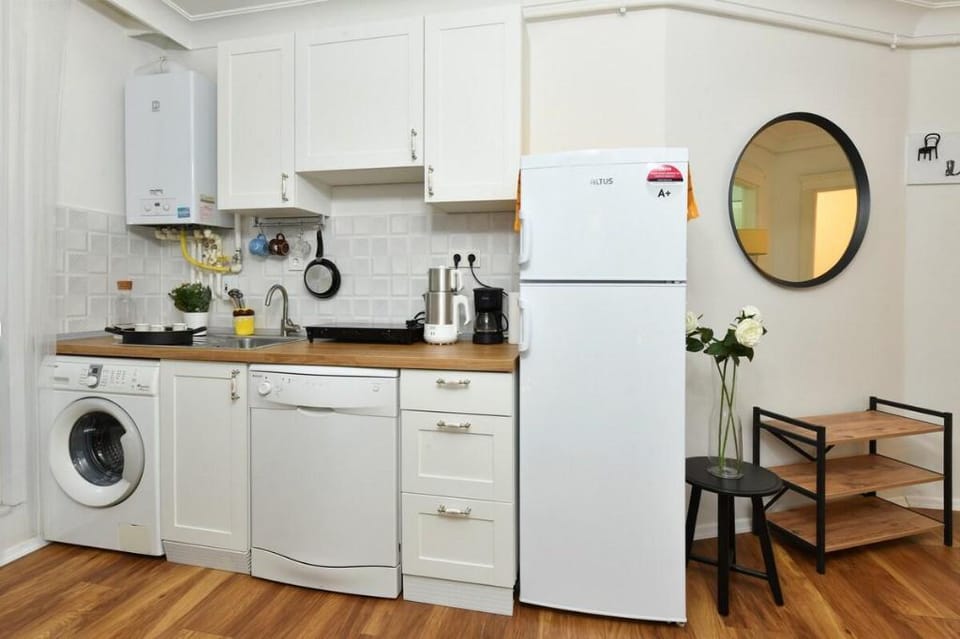 Modern Nostalgia House in Taksim Square Vacation rental in Istanbul