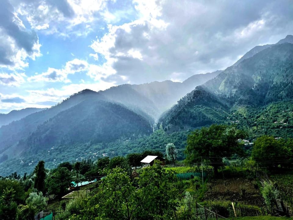 Pine retreat cottages - Full cottage 4bhk Vacation rental in India