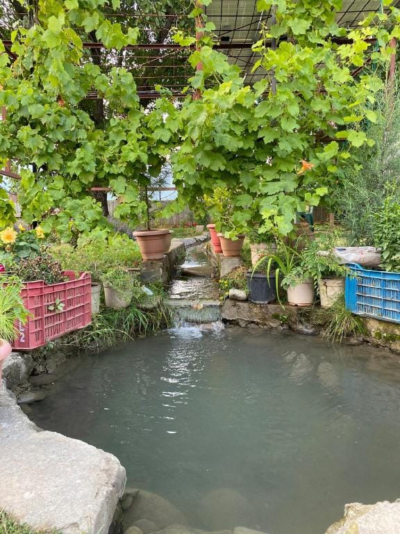 Beautiful Farm with Riverside 4 BHK Hut Vacation rental in India