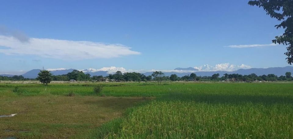 Tara guesthouse. Vacation rental in Bagmati Province, Nepal