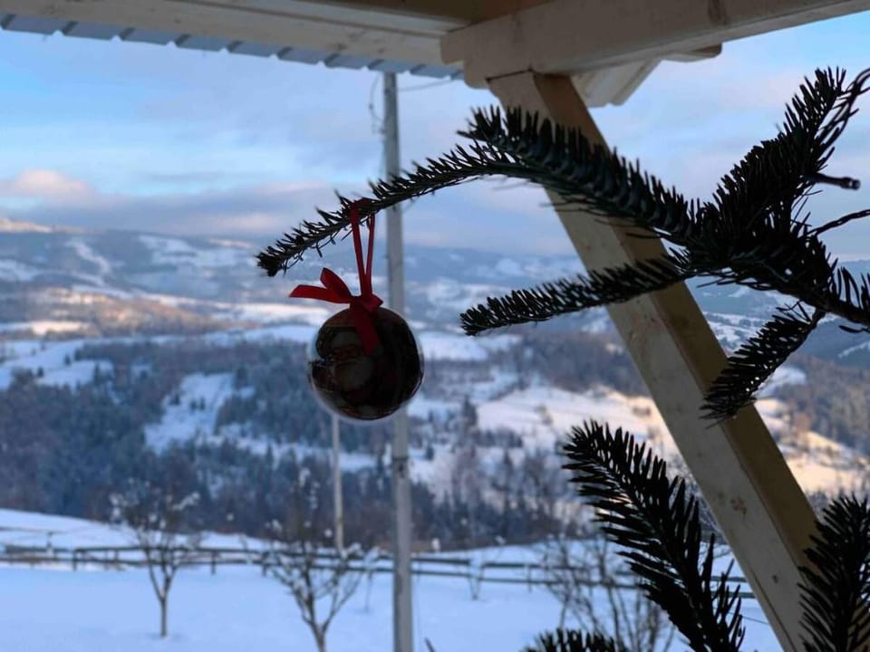 Cabana Bucuria Munților Vacation rental in Cluj County