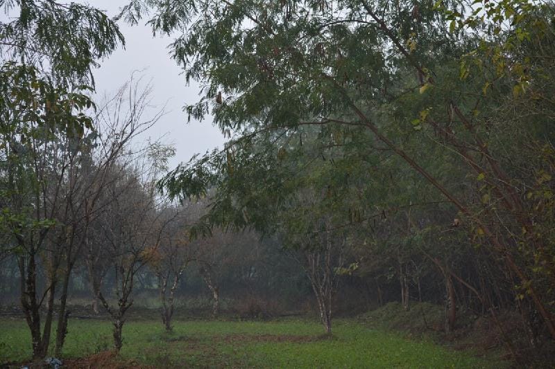 Tigers & Temples Vacation rental in Uttar Pradesh