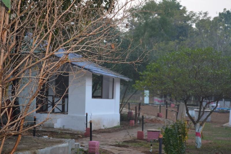 Tigers & Temples Vacation rental in Uttar Pradesh