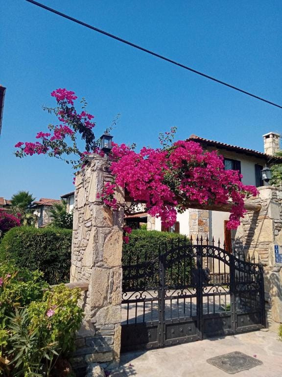 Villa Oliva Houses1 Villa in Dalyan