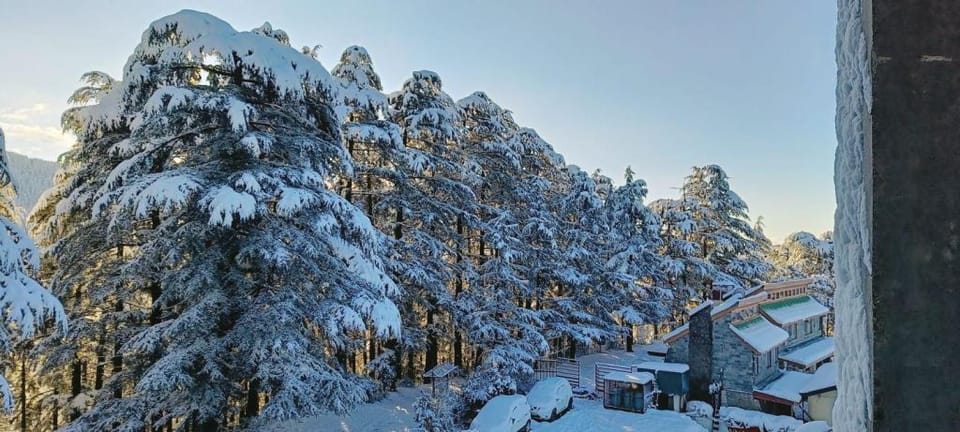 Heaven in Mountain Apartment in Himachal Pradesh