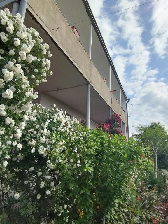 Guesthouse Ed&Er +37499097099 Villa in Yerevan