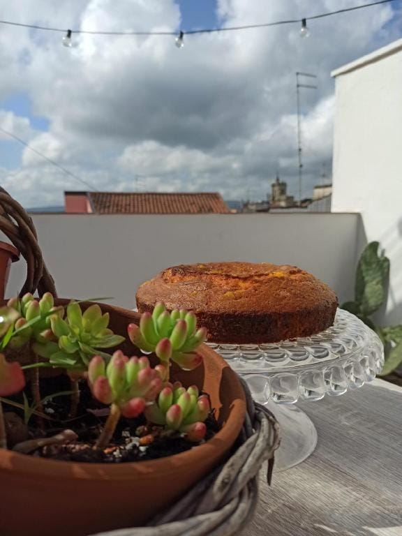 Camera Matrimoniale Bed&Breakfast Ficodindiarooms Vacation rental in Sicily