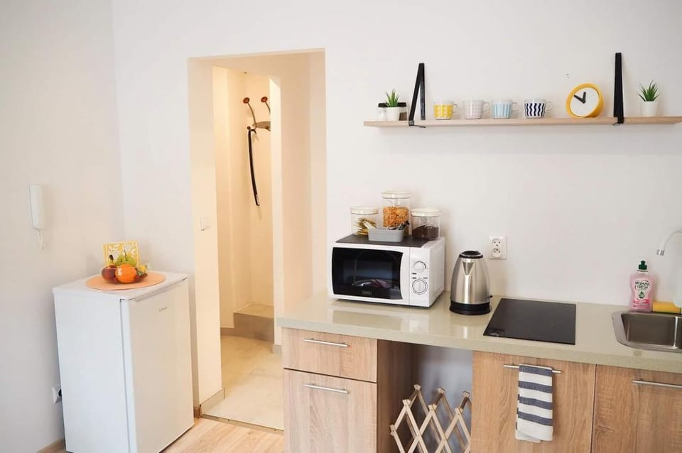 Studio Viola Apartment in Krakow
