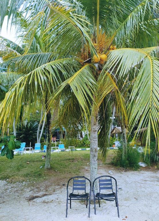 Paradise Staycation Beach Penang  Vacation rental in Tanjung Bungah