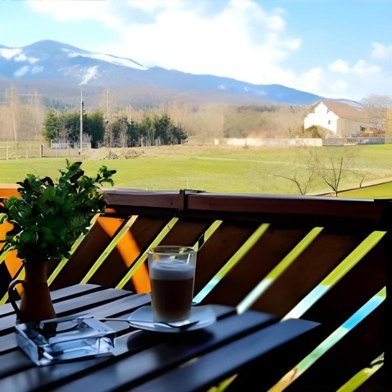 Pensiunea Ohana Hotel in Brașov County