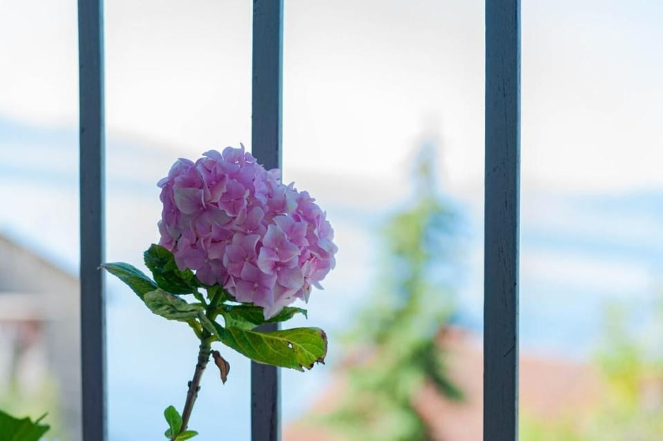 Sea View Retreat With 170Mbps WiFi And Sunny Balcony Apartment in Rijeka