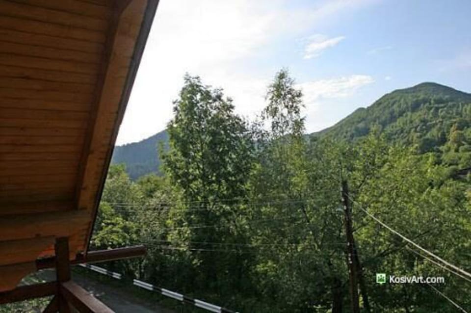 Beautiful wooden cottage Kosiv - Ivano Frankivsk Vacation rental in Ukraine