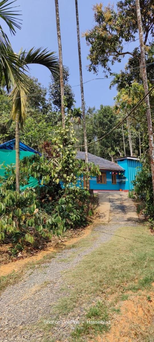 Merbella Homestay Vacation rental in Kerala