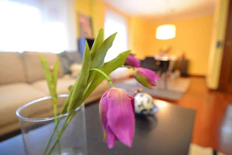 El Secreto de Liencres by Just Room Apartment in Cantabria