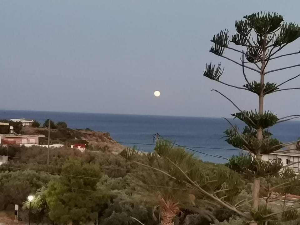 Apartments with garden view Apartment in Lasithi