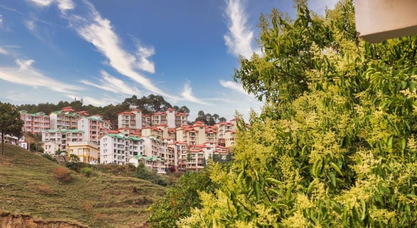 Mohija Homestay  Apartment in Himachal Pradesh