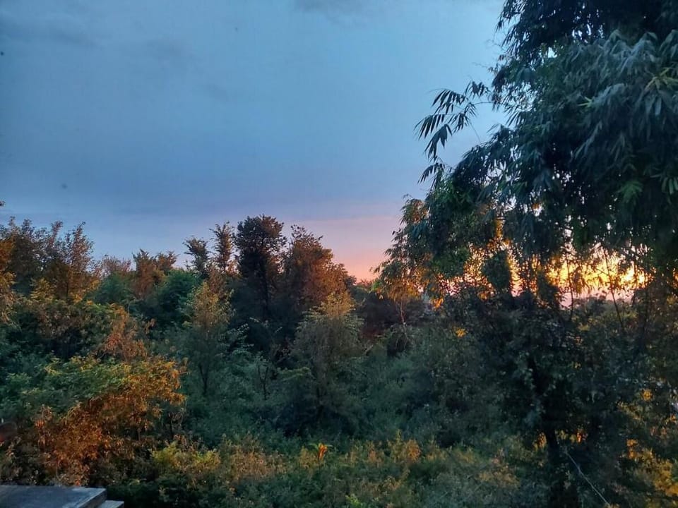 Summer Valley Cottage 2 Vacation rental in Punjab, India
