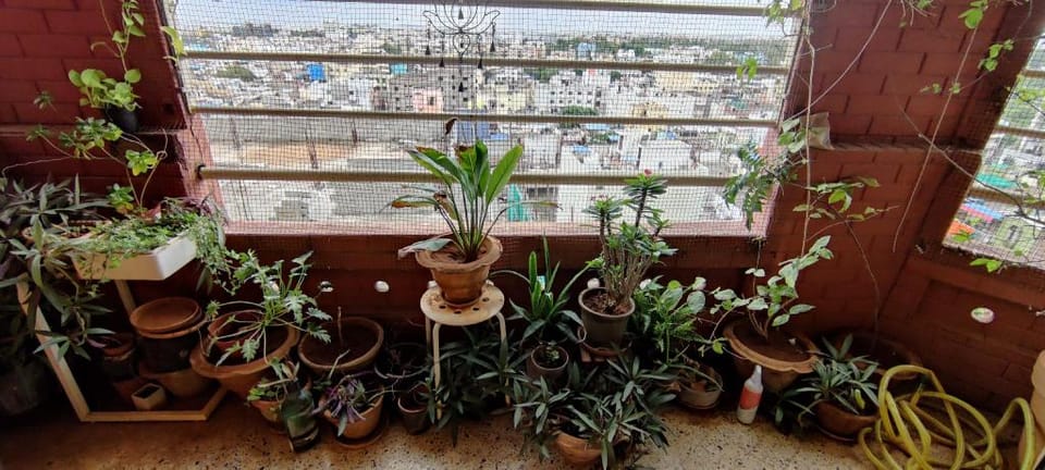 Cozy Homestay for only Women with City view Apartment in Hyderabad