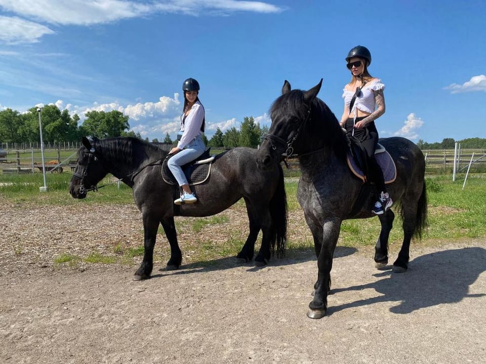 Superior Queen, next to Nature Park Beremytske Apartment in Ukraine