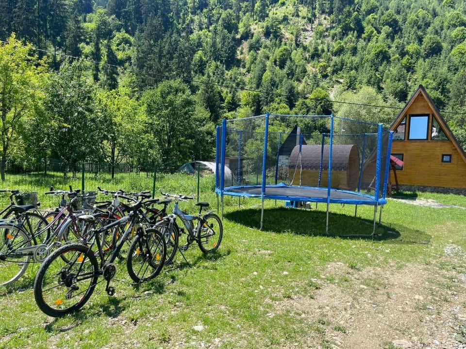 Cabanele Finasii Vacation rental in Cluj County